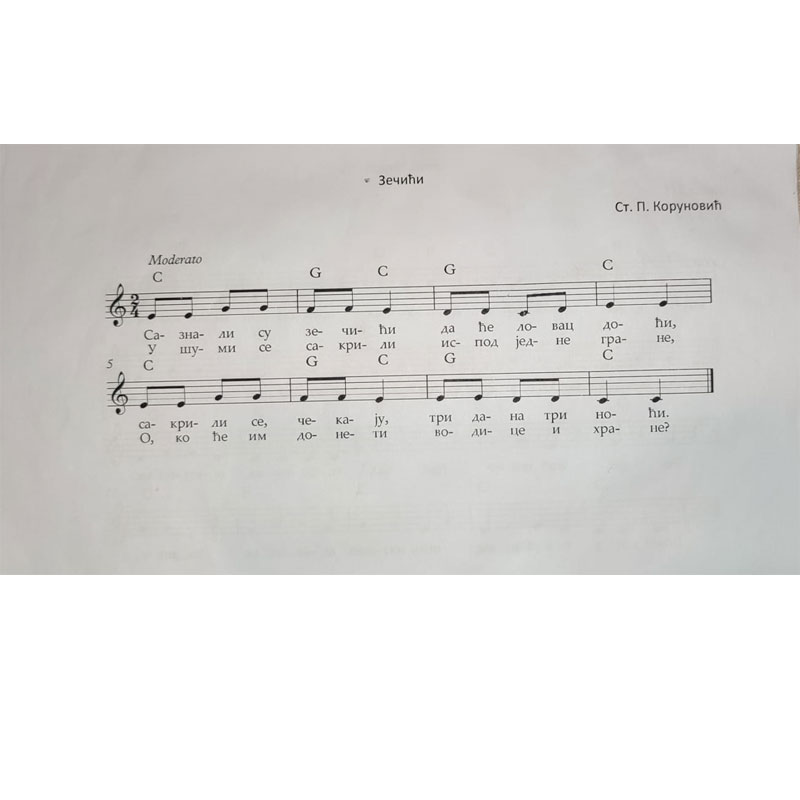 zecici note zecici note