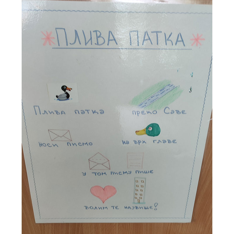 Pliva patka preko Save
