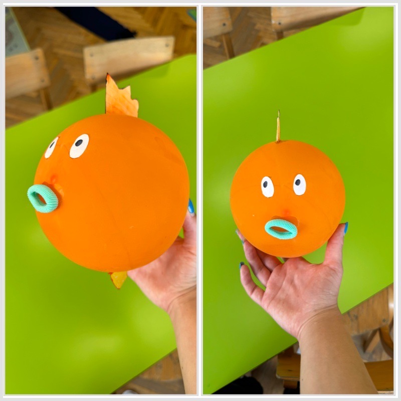 Ribica balon